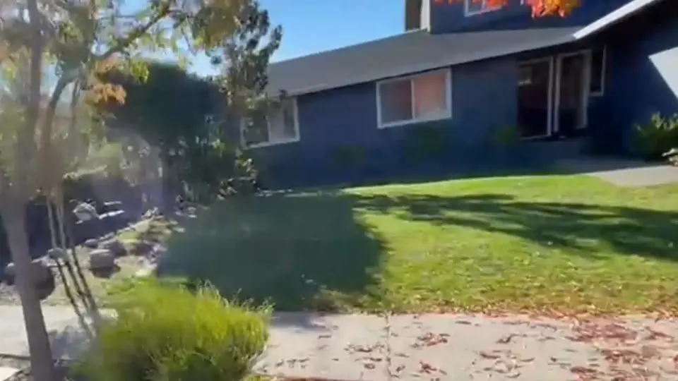Front yard with patchy lawn before landscaping